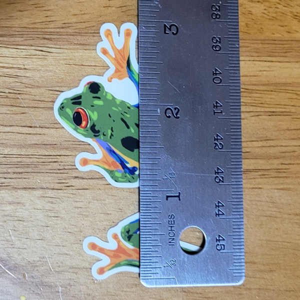 Red Eyed Tree Frog Sticker - Image 3