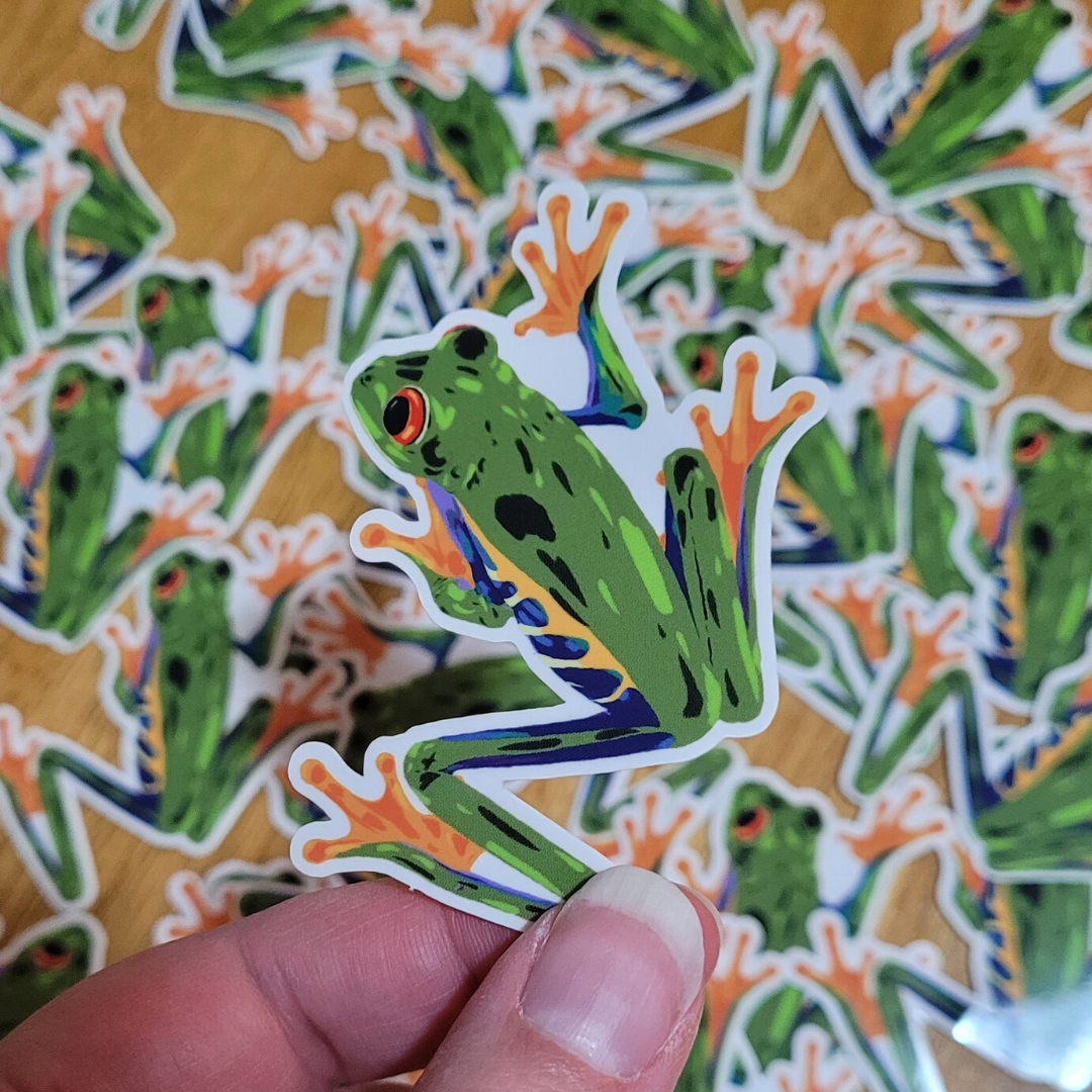 Red Eyed Tree Frog Sticker